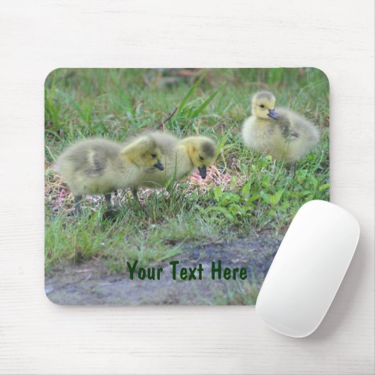 Natuur Canada Geese Babies Foto Mousepad Muismat (Met muis)