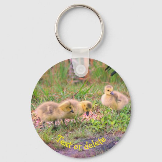 Natuur Canada Goose Babies Personalized Sleutelhanger (Voorkant)