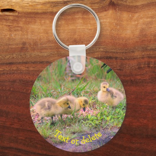 Natuur Canada Goose Babies Personalized Sleutelhanger (Voorkant)