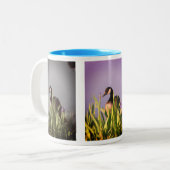 Natuur Canada Goose Irise Tweekleurige Koffiemok (Voorkant links)