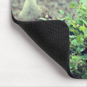 Natuur Canada Goose Trio Muismat (Hoek)