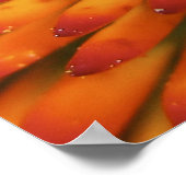 Natuur Candy Corn fine art print (Hoek)