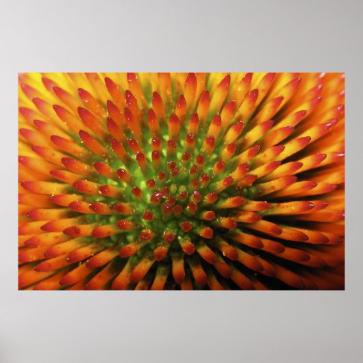 Natuur Candy Corn fine art print (Voorkant)