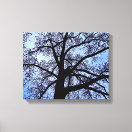 Natuur Canvas Afdruk