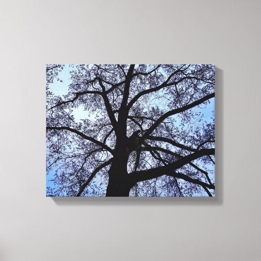 Natuur Canvas Afdruk (Voorkant)