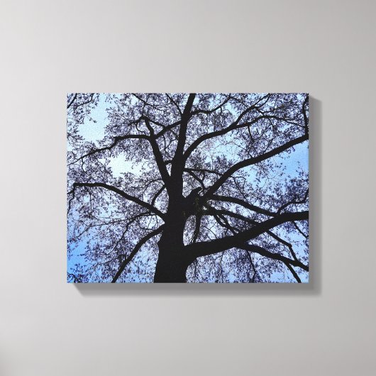 Natuur Canvas Afdruk (Voorkant)