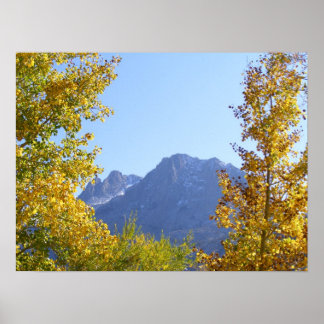 Natuur Canvas Poster