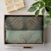 Natuur Chaetpoda Ernst Haeckel Ontkoppeling Tissuepapier (Geschenk)