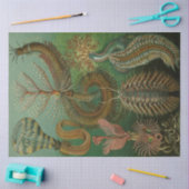 Natuur Chaetpoda Ernst Haeckel Ontkoppeling Tissuepapier (Craft)
