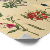 Natuur  chemicaliën Collage afdruk Poster (Hoek)