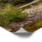 Natuur Cirkel Poster (Hoek)
