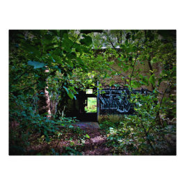 "Natuur claimt het vergeten" Foto Afdruk