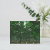 Natuur Clarity Briefkaart (Staand voorkant)