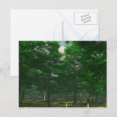 Natuur Clarity Briefkaart (Voorkant / Achterkant)