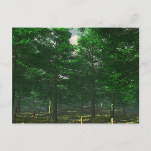 Natuur Clarity Briefkaart (Voorkant)