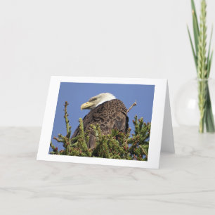 Natuur Climate Note Card Bedankkaart