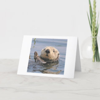 Natuur Climate Note Card Bedankkaart