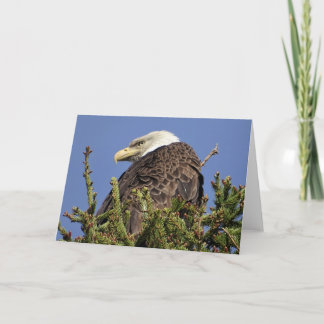 Natuur Climate Note Card Bedankkaart