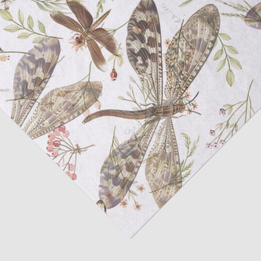 Natuur collage- Dragonvliegen Tissuepapier (Detail)