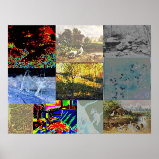 Natuur collage poster (Voorkant)