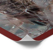 Natuur Collage Print Northwood Wisconsin Seasonal (Hoek)