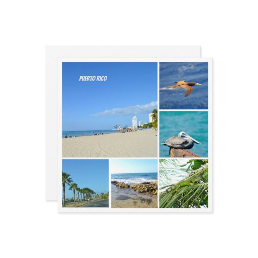 Natuur collage van San Juan, Puerto Rico (Voorkant / Achterkant in situ)