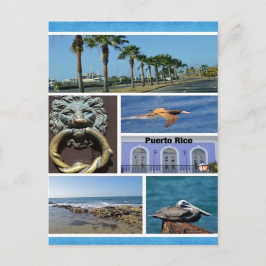 Natuur collage van San Juan, Puerto Rico Briefkaart (Voorkant)