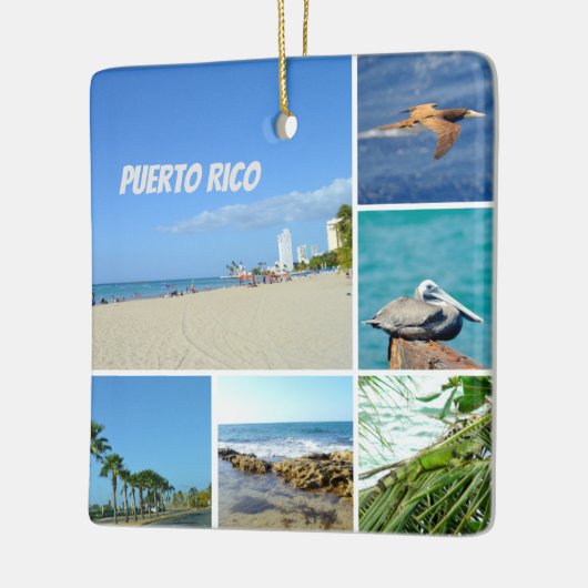 Natuur collage van San Juan, Puerto Rico Keramisch Ornament (Links)