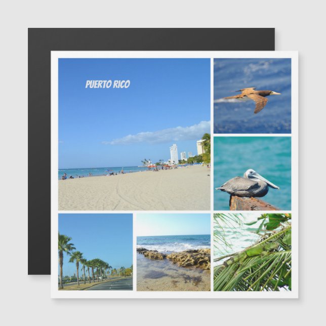 Natuur collage van San Juan, Puerto Rico magneet (Voorkant / Achterkant)