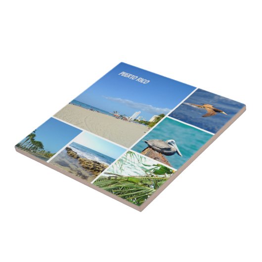 Natuur collage van San Juan, Puerto Rico Tegeltje (Zijkant)