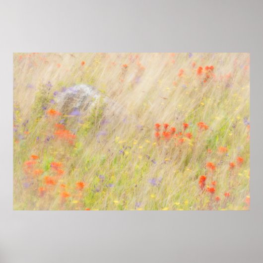 Natuur Conservancy | San Juan-eilanden, WA Poster (Voorkant)
