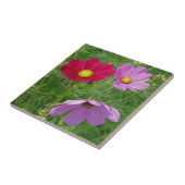 Natuur Cosmos Flower Trio Tegeltje (Zijkant)