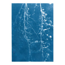 Natuur Cyanotype in Blauwdruk & Digitale Download