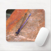 Natuur Damselfly Dragonfly Muismat (Met muis)