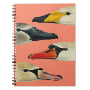 Natuur De vele gezichten van een zwaan Notitieboek