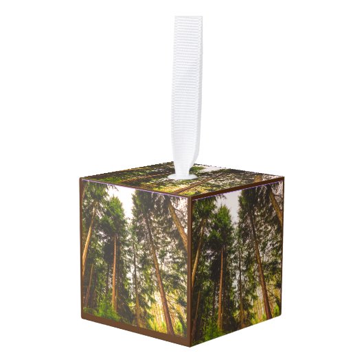 Natuur Decoratie (Voorkant hoekig)