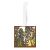 Natuur Decoratie (Voorkant)