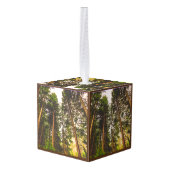 Natuur Decoratie (Achter hoekig)
