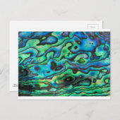 Natuur design paua abalone shell briefkaart (Voorkant / Achterkant)