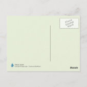 Natuur dew op spinnenweb briefkaart (Achterkant)