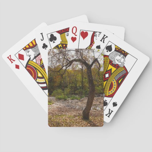 Natuur die uitkomt pokerkaarten (Achterkant)