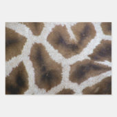 Natuur Dieren Giraffe Python Snake Leopard Skins Inpakpapier Vel (Voorkant)