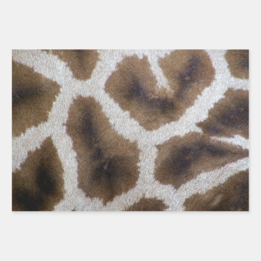 Natuur Dieren Giraffe Python Snake Leopard Skins Inpakpapier Vel (Voorkant)