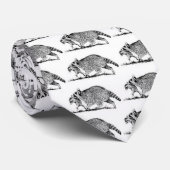 Natuur:  Dieren:  Raccoon Stropdas (Opgerold)