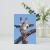 Natuur dierrotsen briefkaart (Staand voorkant)