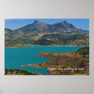 Natuur doet niets tevergeefs poster