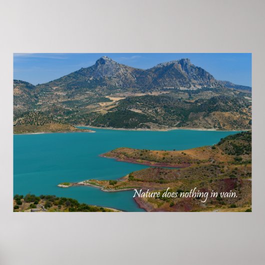 Natuur doet niets tevergeefs poster (Voorkant)