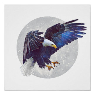 Natuur Drone Perfect Poster