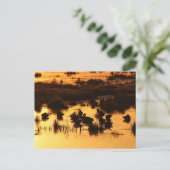 Natuur - Eenden bij zonsopgang Briefkaart (Staand voorkant)