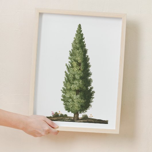 Natuur eikenboom bos kwekerij decor poster